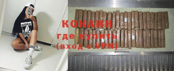 прущие грибы Арсеньев