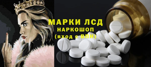 прущие грибы Арсеньев