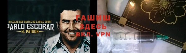 прущие грибы Арсеньев