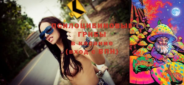 хмурый Армянск