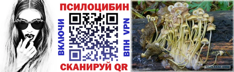 наркотики  Вяземский  Псилоцибиновые грибы MAGIC MUSHROOMS 